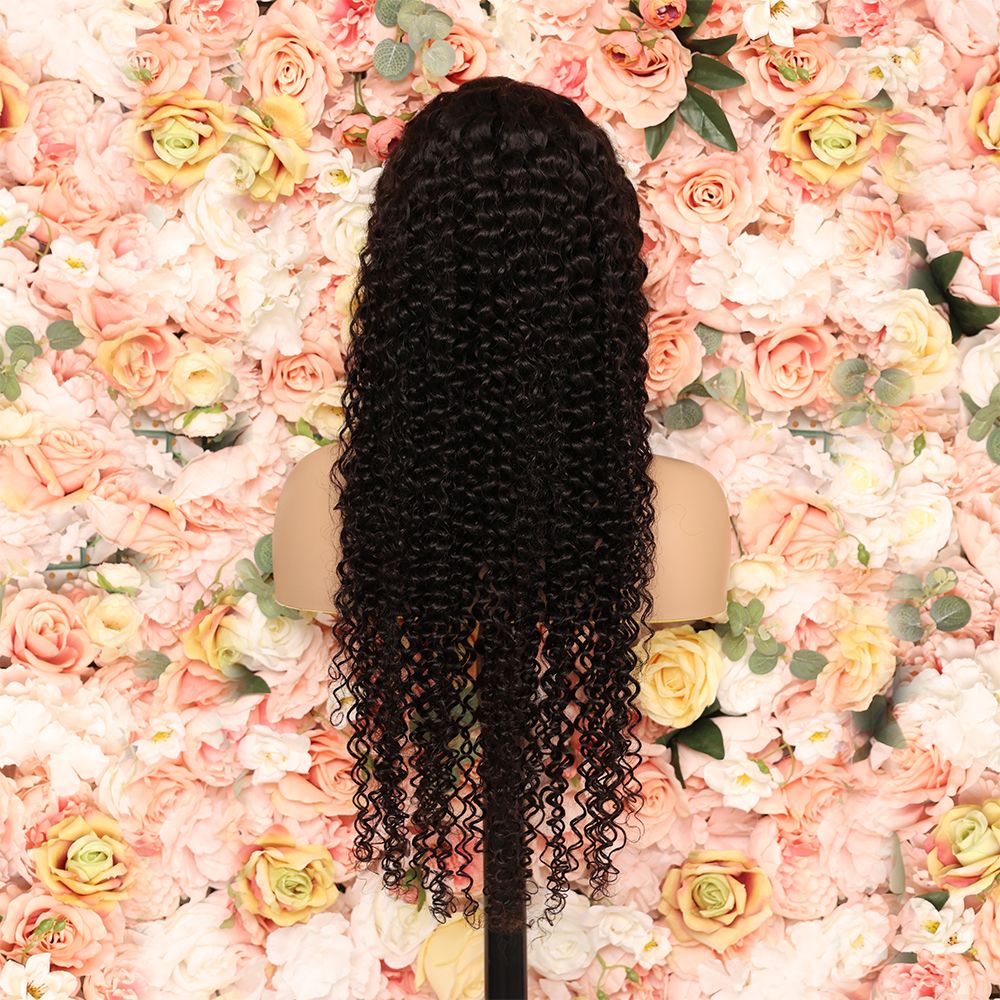 "TRINA" CURLY WAVE LACE FRONTAL WIG